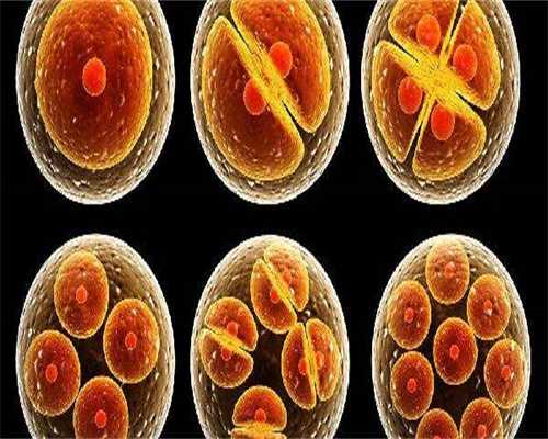 双子宫能怀孕吗