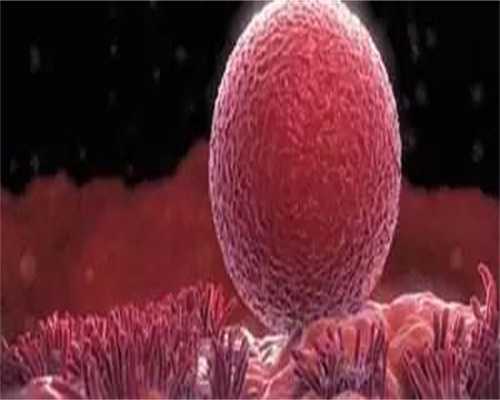 在柳州的私立生殖中心做试管婴儿安全吗!广西柳州哪家医院做试管好!