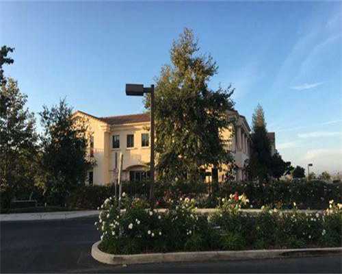 广西助孕生子机构，广西壮族自治区2026年当地供卵试管助孕医院排名（内含成