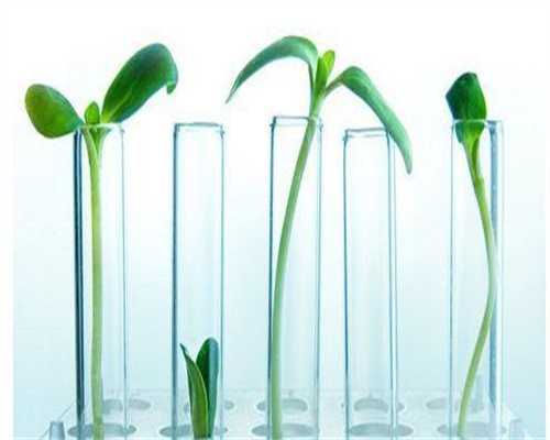 广西供卵合法吗，广西壮族自治区生殖医院试管婴儿移植后感受分享