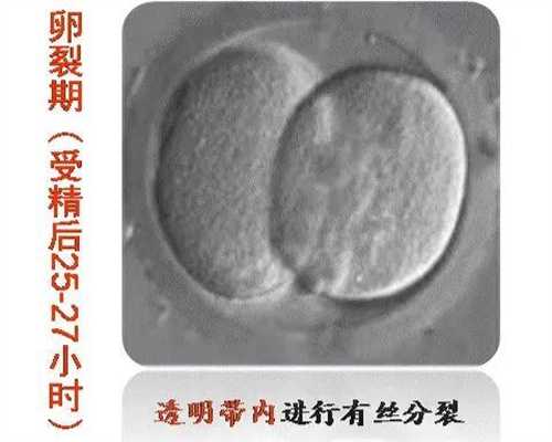 深圳有人想做代怀吗，深圳供卵代怀医院排名