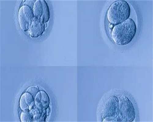 珠海失独家庭试管生子