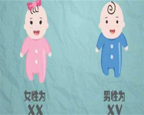 腺肌症做供卵试管是什么行程_腺肌症供卵试管用什么方案