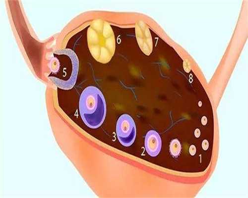 北京供卵私立医院哪家好,北京试管供卵捐卵费用