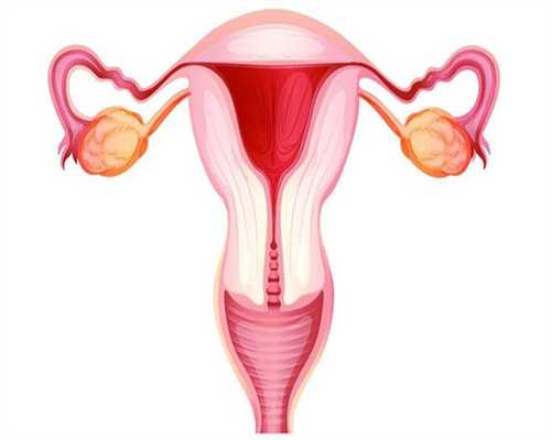 广西助孕妇服务,大家好，这是我们的工作@海外试管助孕服务