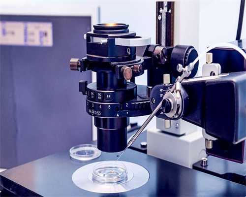 捐卵广西助孕，广西壮族自治区发改委原党组书记、主任黄方方，被查