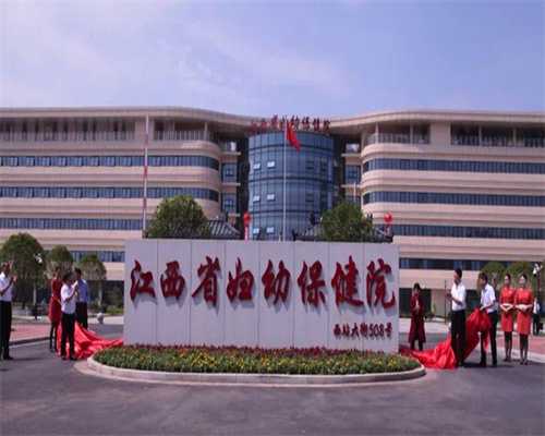 借卵做北京助孕试管的费用多少