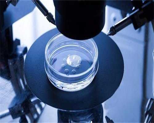 上海助孕补偿，上海助孕生男孩，上海助孕公司哪家好