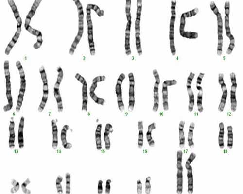 广西正规医院能供卵吗现在