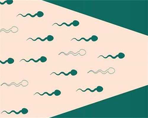 36岁备孕二胎调理身体的方法？36岁高龄备孕二胎！