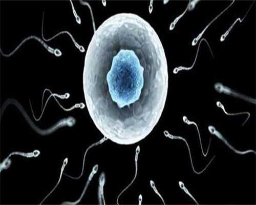 泰国试管婴儿多少钱一次