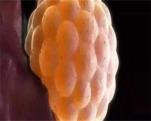 厦门职业助孕地址，厦门助孕医院有哪些医院呢