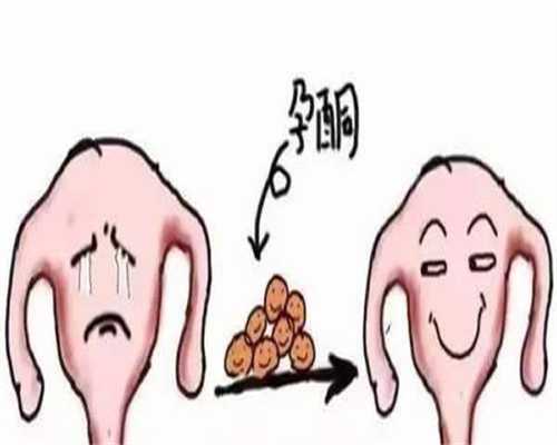 好孩子儿童自行车14寸价格及专卖店地址,哪里有卖