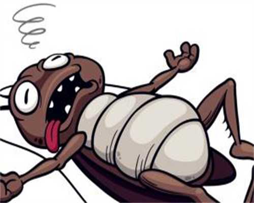 供卵试管无创检查性染色体异常