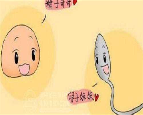 胚胎移植得几周可以做NT检查