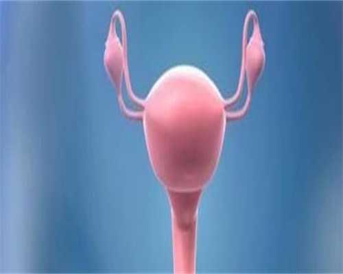 广西代生移植,了解柬埔寨皇家生殖医院只需5分钟：名师名家王植柔篇