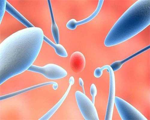 海口试管包生男孩，海口包生男孩正规公司_试管助孕生子助孕机构