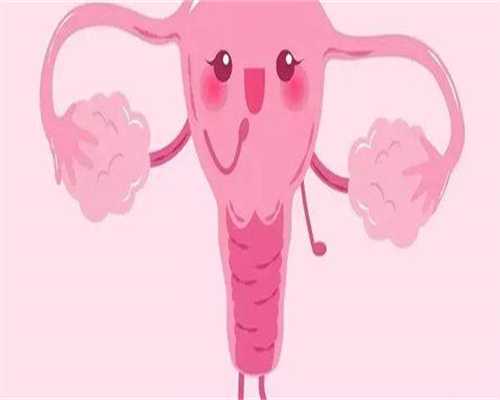 广西助孕代生价格是多少