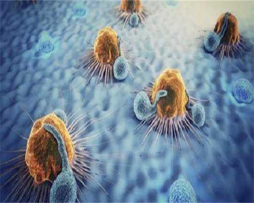 广西高龄借卵生子,高龄试管借卵成功率