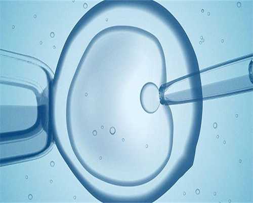 上海助孕机构费用多少,正规试管助孕机构:上海正规助孕机构,国内助孕中心