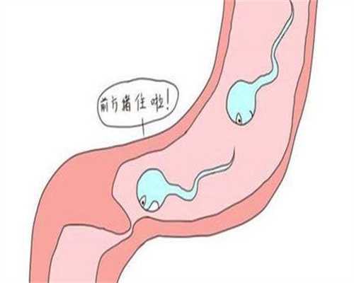 石家庄助孕经历,石家庄三代试管助孕孩子-石家庄辅助生殖中心