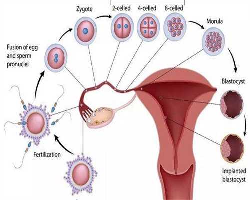 武汉现在助孕合法吗,武汉AA69助孕,武汉助孕找aa69可以吗