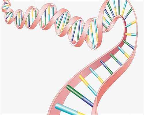 武汉供卵价格,卖精子