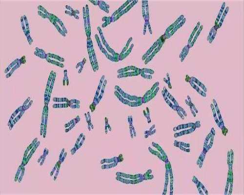 代生男孩技术-从促排到降调，多久才能完成？