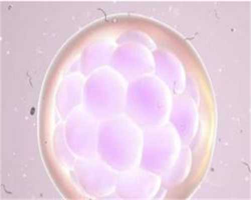 终于取完了，等待好孕期