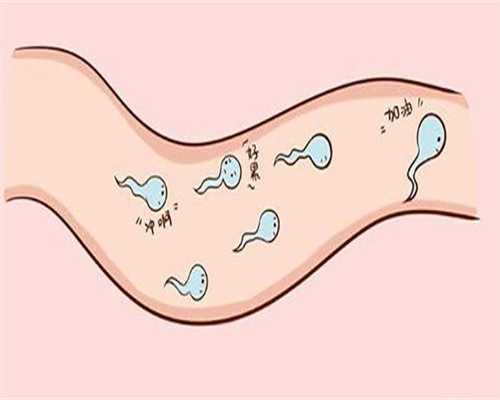 福建代孕包生男孩-福建代孕助孕服务