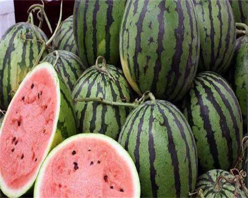 内蒙助孕产子费用，内蒙古试管助孕免费贡献精子生子费用大概多少