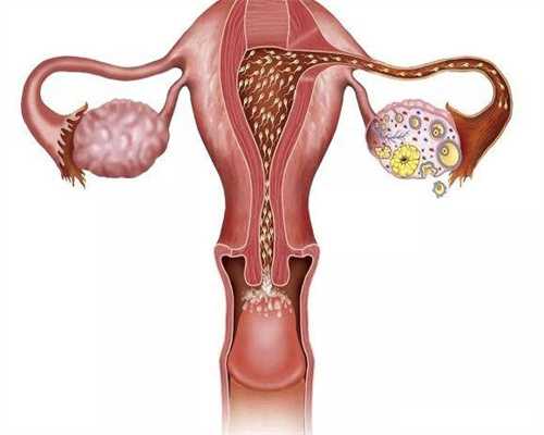 广州助孕价格表助孕机构，试管知识：广州助孕机构有哪些？广州助孕中心医院