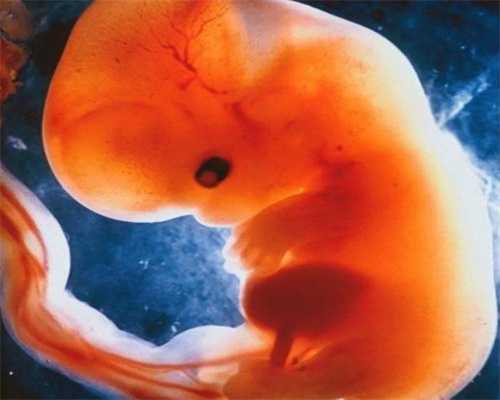 北京试管助孕有补贴吗多少钱